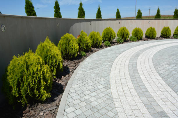 Best Driveway Paving Contractor  in Canby, MN